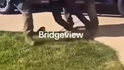 Is DHS giving its agents enough authority to enforce the law?