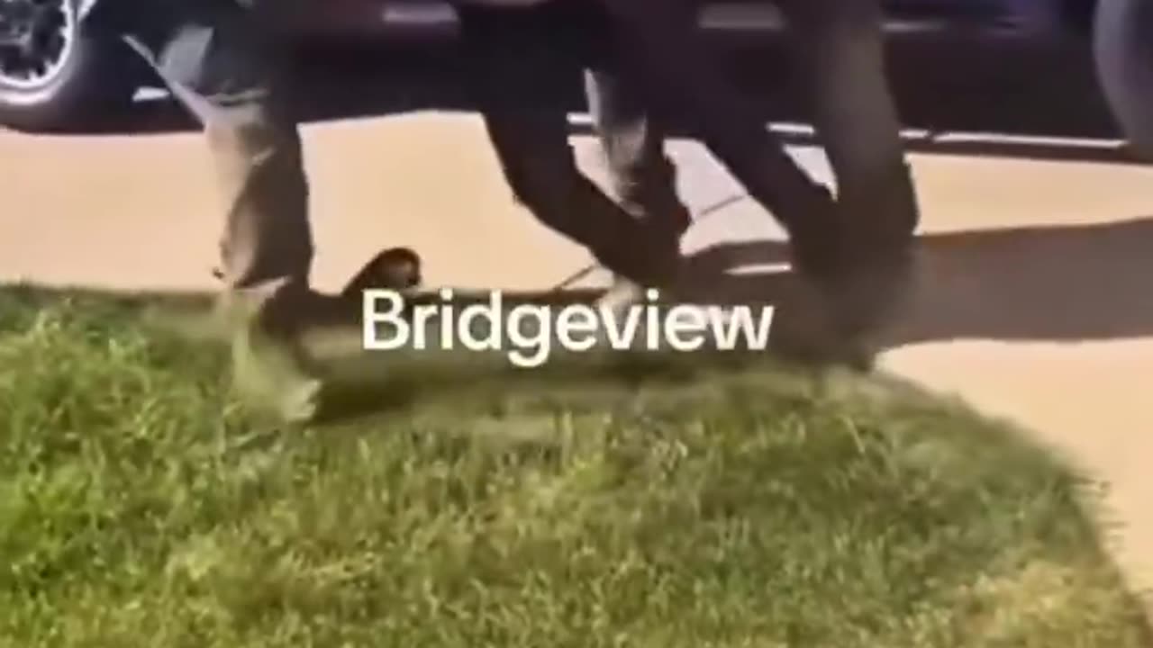 Is DHS giving its agents enough authority to enforce the law?