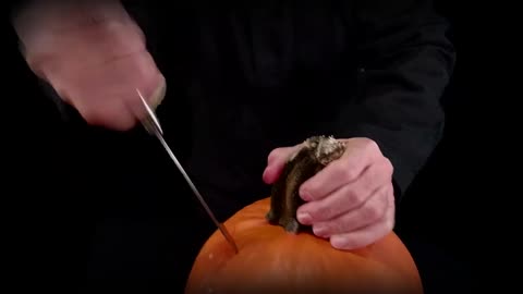 Halloween 2023 - Work in Progress