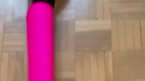 Funny cats and animals videos