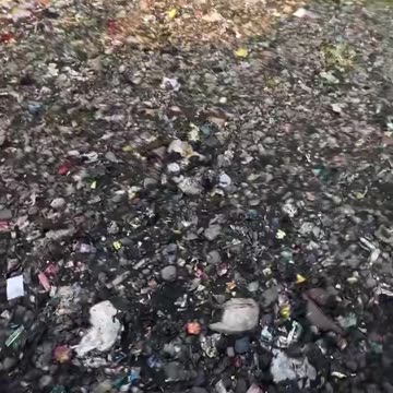 This is what open borders leads to