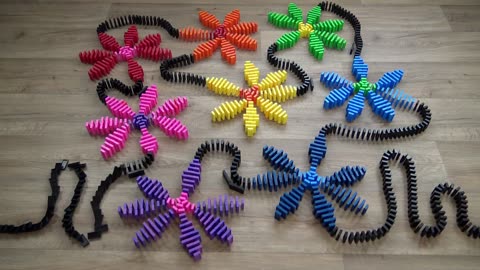 FOLLOW ME PLEASE SATISFYING Rainbow Domino Tricks!