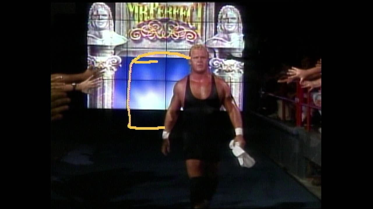 WWF Superstars August 28, 1993