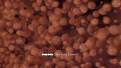 Myoglobin: Muscle Hero or Kidney Killer? The Truth About Rhabdo