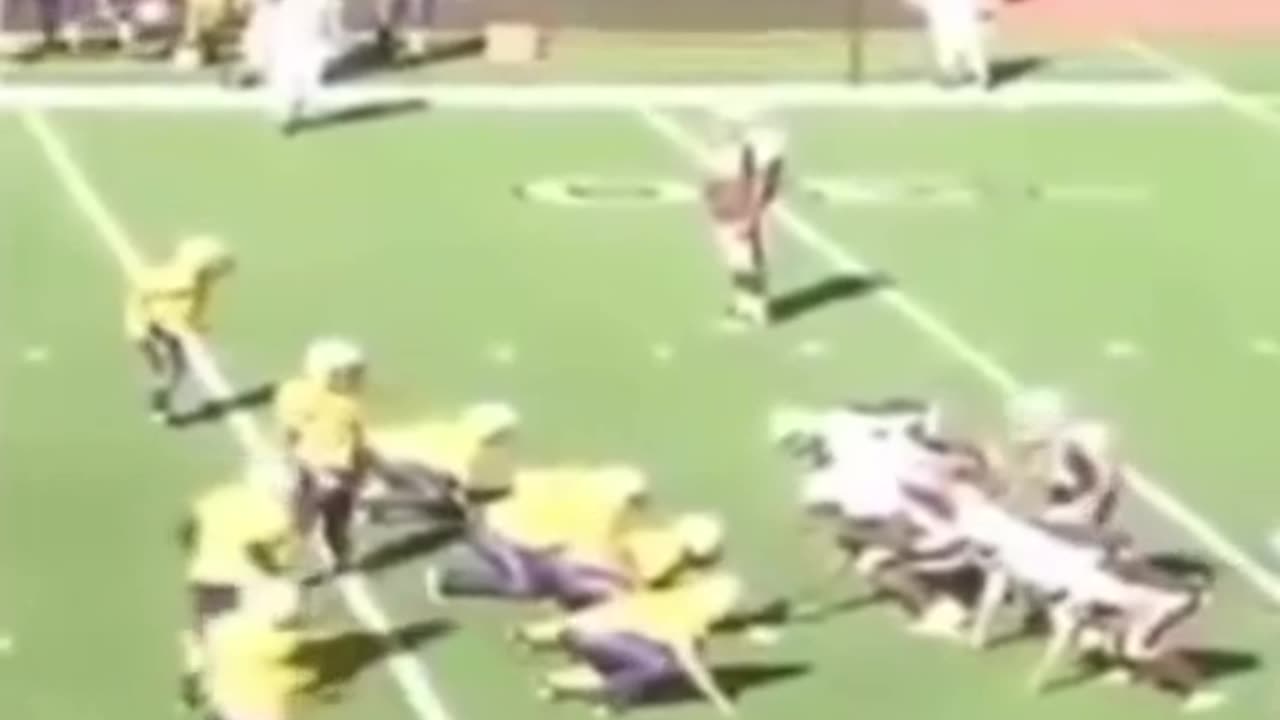 😂 WTF Was That Call?! | FunFM