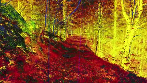 Euthanasia (short poem)