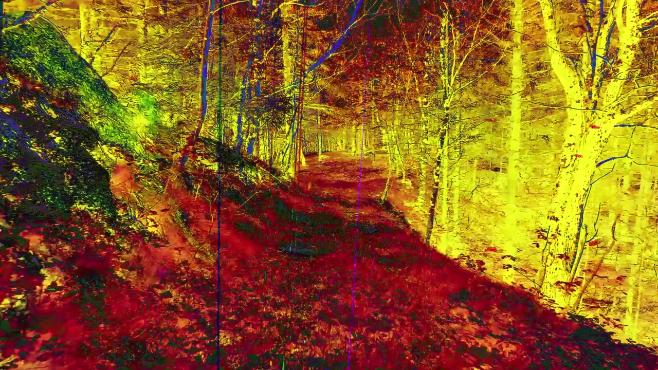 Euthanasia (short poem)