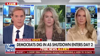 Karoline Leavitt torches Dems in FIERY response