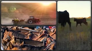 Trent Loos in the Morning - 12/18/2025