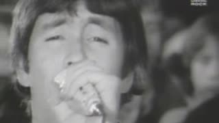 Troggs - Wild Thing = American Bandstand 1966