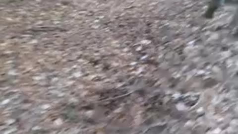 the crimes of mosquito abatement septic systems