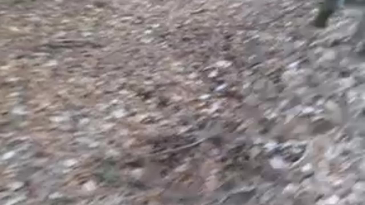 the crimes of mosquito abatement septic systems