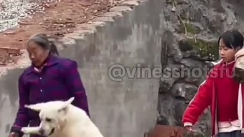 SMART DOG AND CUTE PUPPIES 🐶✨