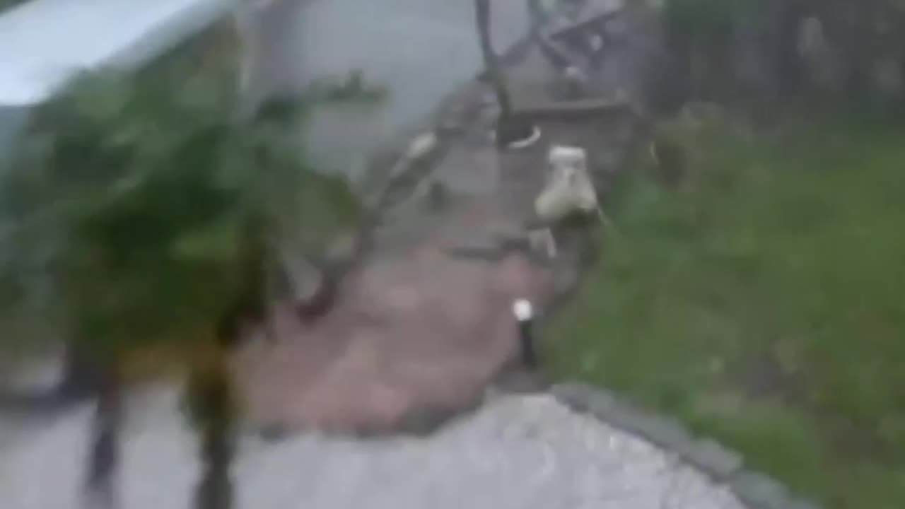 JAPONSKO - TAJFUN HALONG 9.10.2025