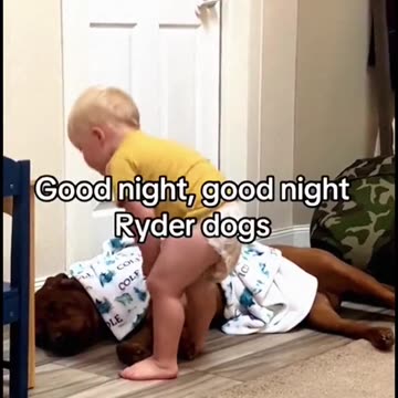 kids and pets