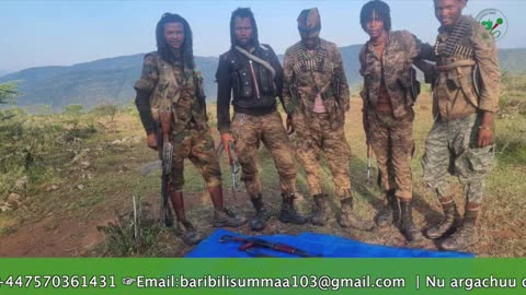 Gabaasa Tarkaanfii ONM-ABO Sadaasa 9-2025 itti dhiyaadhaa!