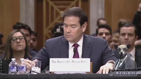 A CodePink protester interrupted Secretary of State Marco Rubio's opening remarks