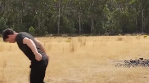 If animals did Parkour 😂 Part 4