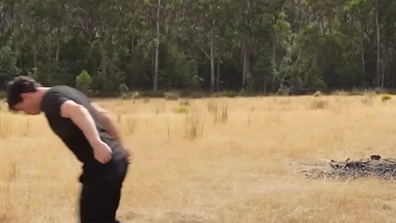 If animals did Parkour 😂 Part 4