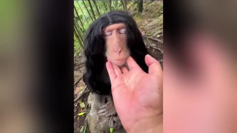 Funniest Cats & Animals of the Week 😂🐾 | Try Not to Laugh!