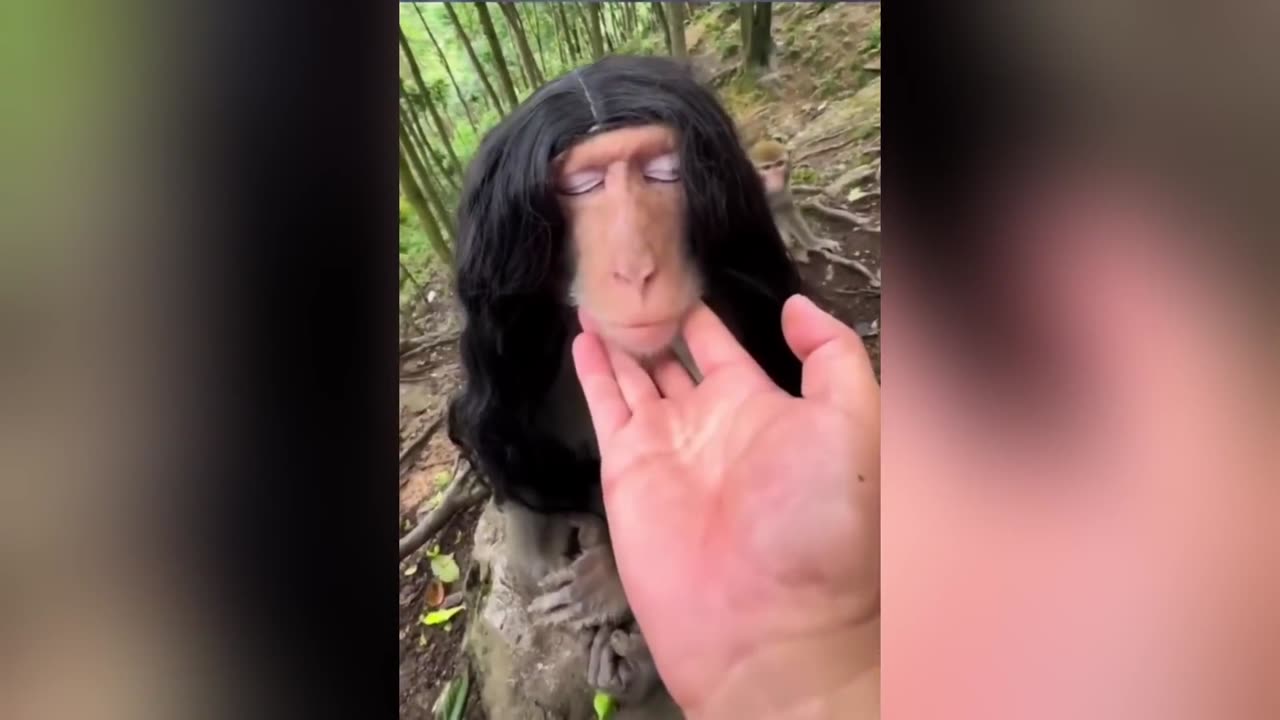 Funniest Cats & Animals of the Week 😂🐾 | Try Not to Laugh!