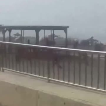 Beach in Spain as illegal immigrants swim to shore.