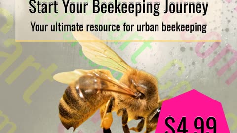 Buzzing into Beekeeping: A Beginner's Guide for Urban Farmers