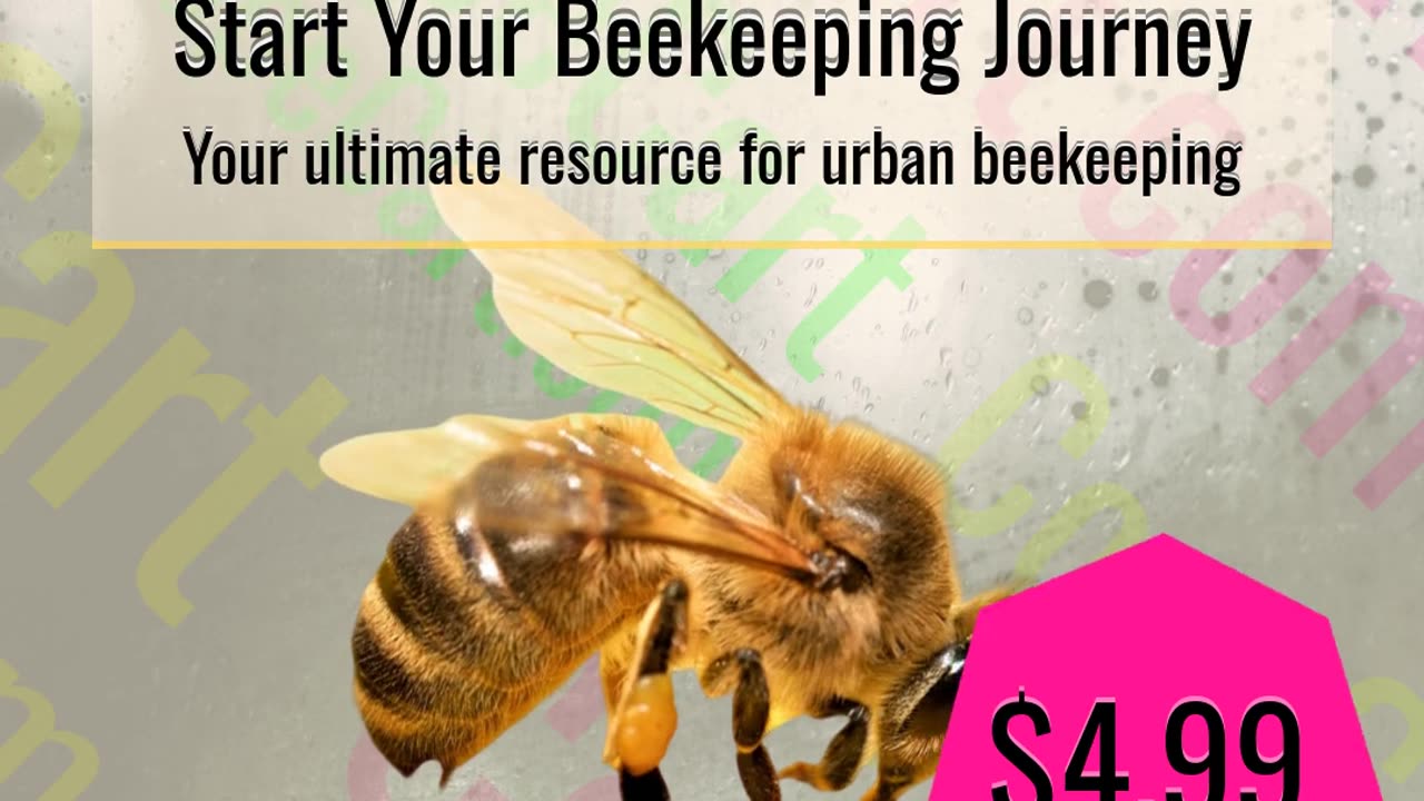 Buzzing into Beekeeping: A Beginner's Guide for Urban Farmers