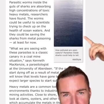 Parasite ivermectin rabbit hole: Clean up the heavy metals an...