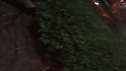 😱🐺 Is This a Real Werewolf Sighting in Ohio? | TheHauntingHour