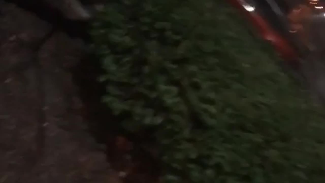 😱🐺 Is This a Real Werewolf Sighting in Ohio? | TheHauntingHour