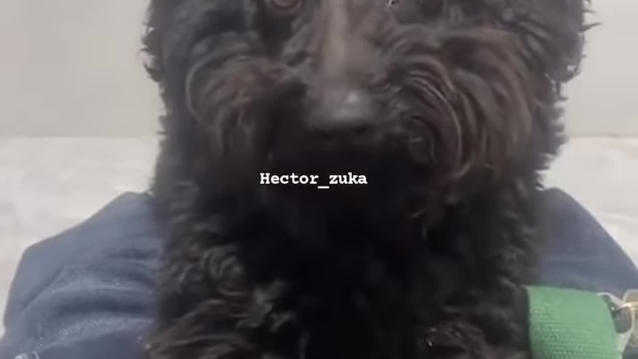 🤣🤣🤣