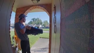 🐿️😂 Squirrel's Crazy Pizza Delivery Disguise | FunFM