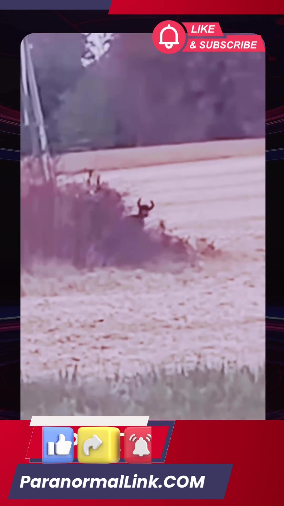 HUMAN -LIKE GOAT CRYPTID