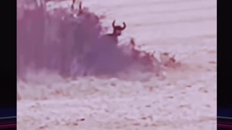 HUMAN -LIKE GOAT CRYPTID