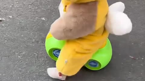 Funny baby