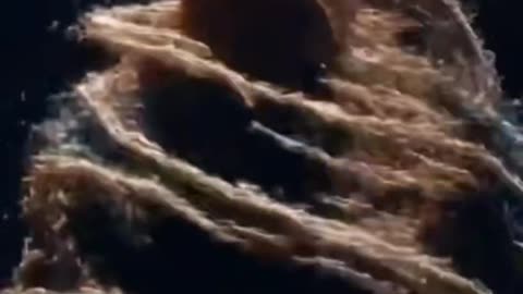 You carry the same fire that lit the stars🪄