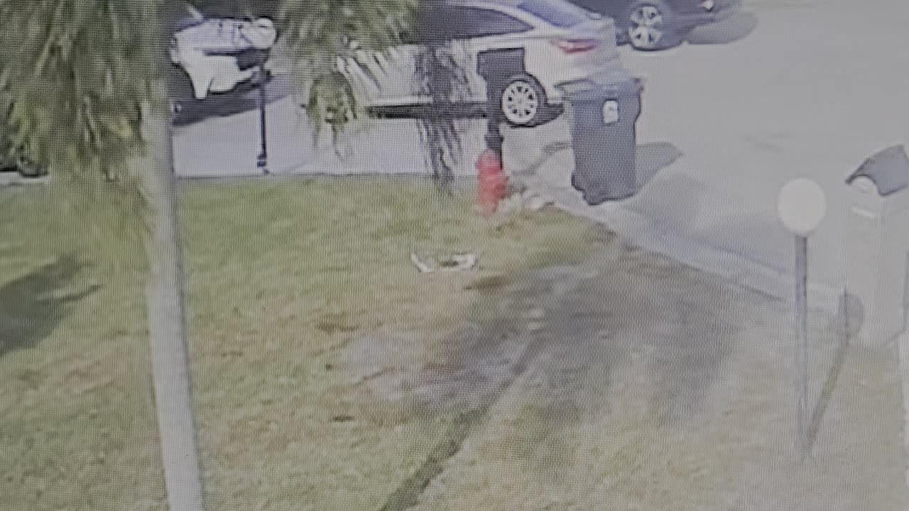 walking across grass hoa giving us summons for grass