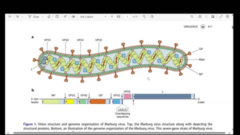 Telemetry Ep81 (Marburg: Genome Structure and Receptor NPC1) by Dr. Paul Cottrell