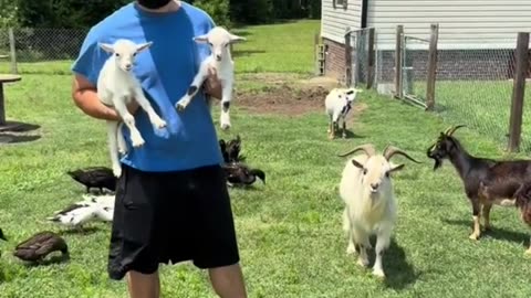 when you married to an animal lover