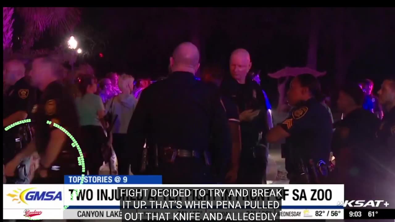 Mexican Stabs Two at Zoo