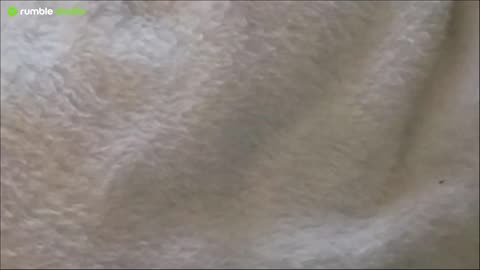 Instagram takes dreams seriously