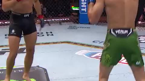 UFC Coach Reactions | Corners That Went Crazy