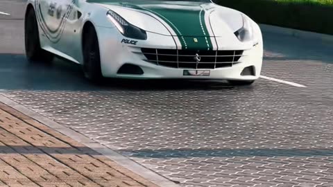 🚀✨ Dubai's Ultimate Luxury Car Showcase Awaits You! | LuxurySportsCars