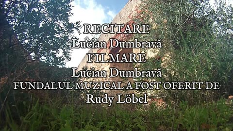 George Bacovia - Plumb De Iarnă (2)