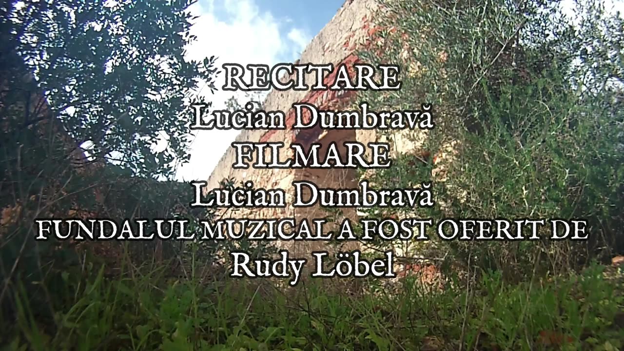 George Bacovia - Plumb De Iarnă (2)