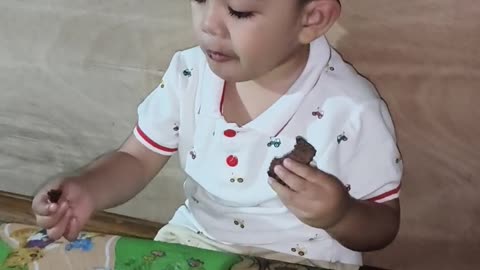 Grey eating chocolate