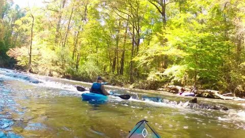 Upper Little River and Tree HUgger