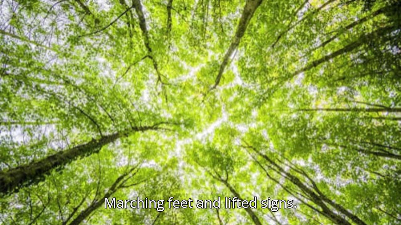 Rise Before the Fall