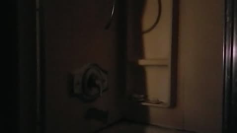 More Barking Puppies and Raging Predvidians 🤣😂